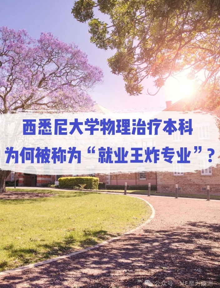 西悉尼大学物理治疗本科，为何被称为“就业王炸专业”？